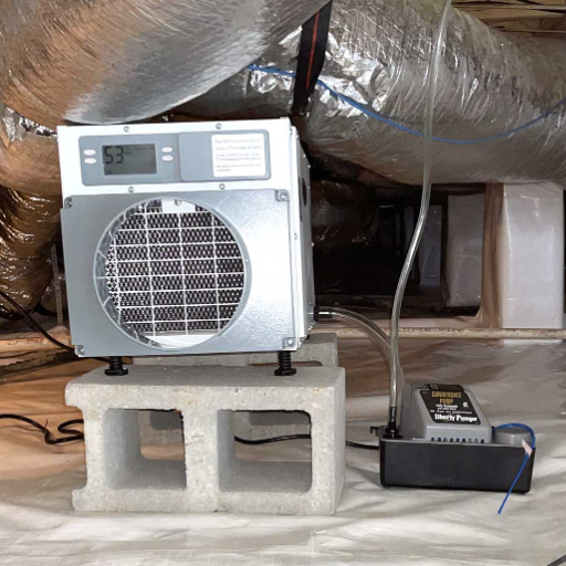 Are there any special considerations for dehumidifiers in crawl spaces?