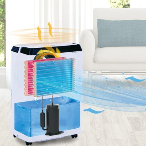 Can a Dehumidifier Actually Lower Room Temperature
