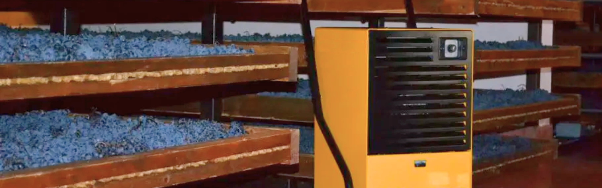 Cellar dehumidification solutions
