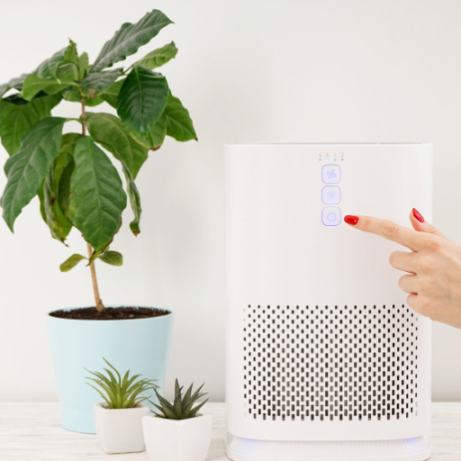 Dehumidifier vs. air purifier:Which is better for allergies