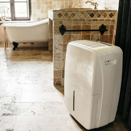 How Does a Bathroom Dehumidifier Work?