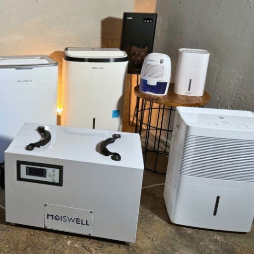 How can I find the best dehumidifier size for my specific needs?