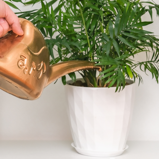 How can you use dehumidifier water safely