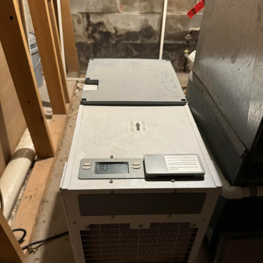 How do I install and maintain a dehumidifier in my basement?