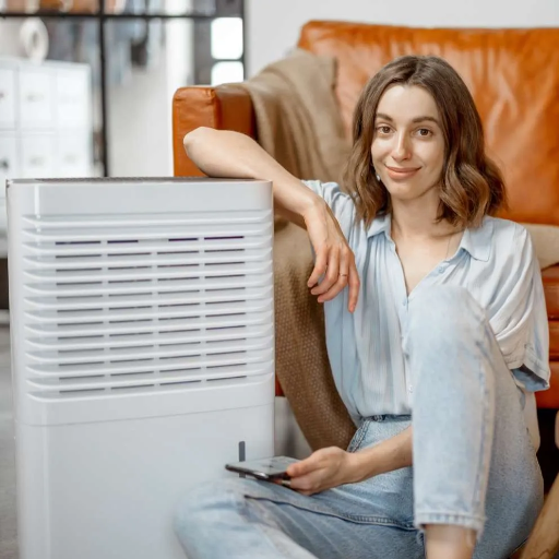 How do dehumidifiers help with allergies