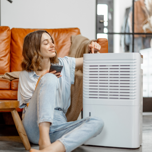 How does a dehumidifier help with sinus problems