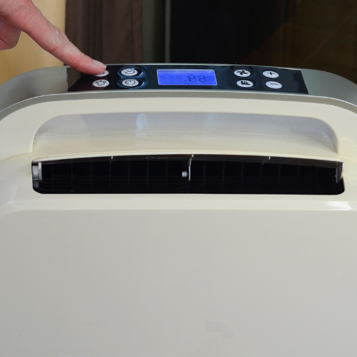 How to Prevent Mold Growth in Your Dehumidifier