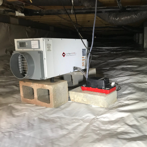 Should I Encapsulate My Crawl Space Before Installing a Dehumidifier?