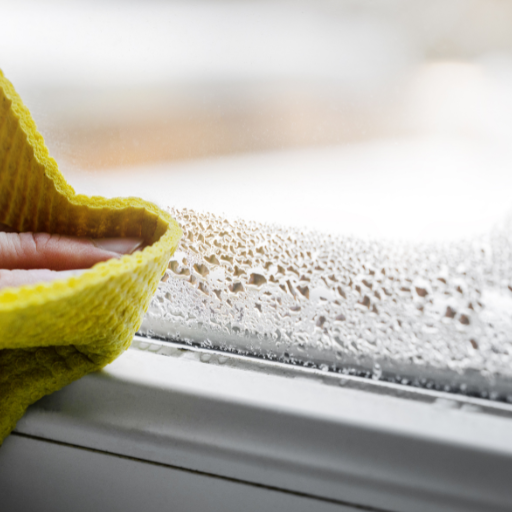 Signs you may need a dehumidifier in your home