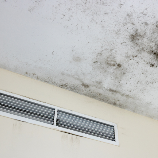What are the benefits of adding a whole-house dehumidifier to your HVAC system