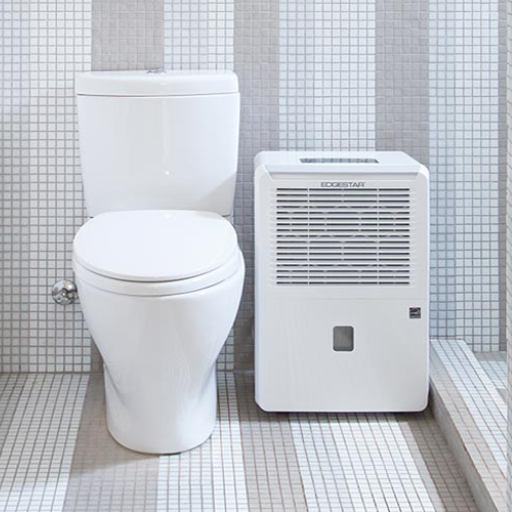 What are the benefits of using a dehumidifier in the bathroom?
