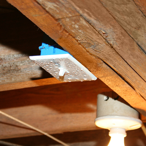What are the signs of high humidity in your crawl space?