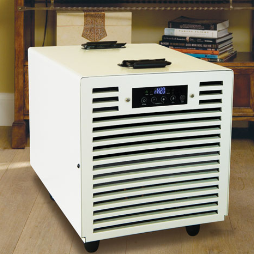 What are the top-rated dehumidifiers for large basements?
