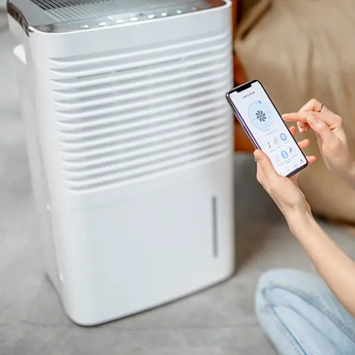 What is a portable dehumidifier, and why do I need one?