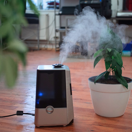 When Do You Need a Humidifier