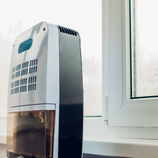 When Should You Use a Dehumidifier
