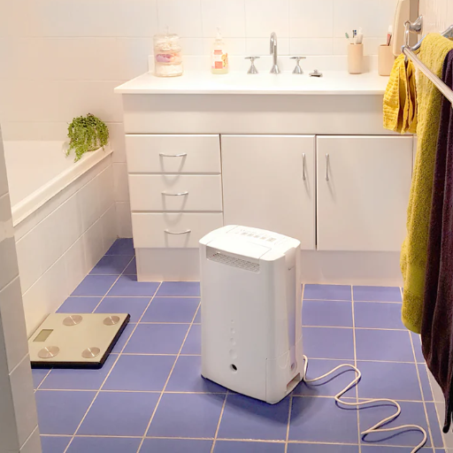 Why Would You Need a Dehumidifier in the Bathroom?
