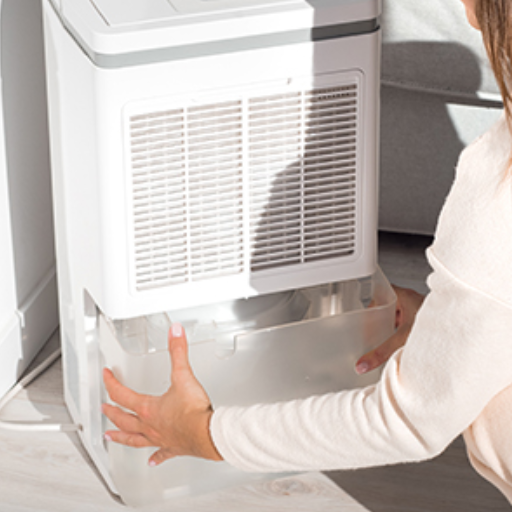 Can a Dehumidifier Kill Mold and Mildew
