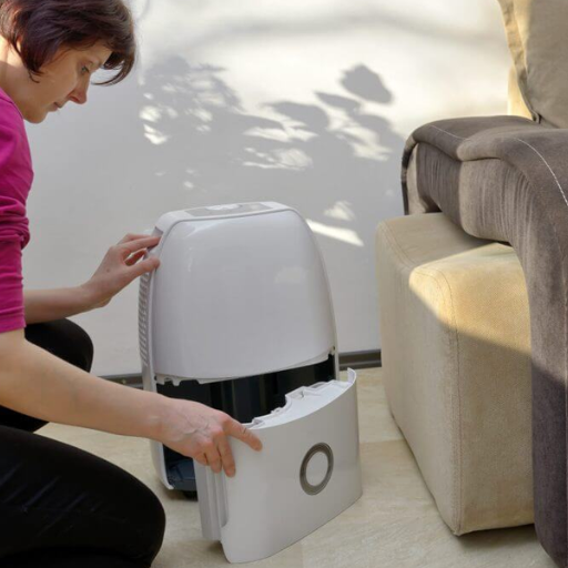 Can a dehumidifier improve my indoor air quality beyond moisture control