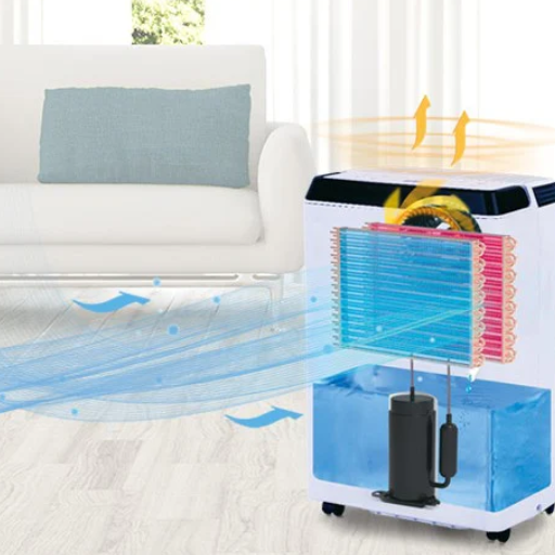 Choosing the Right Dehumidifier for Your Needs 