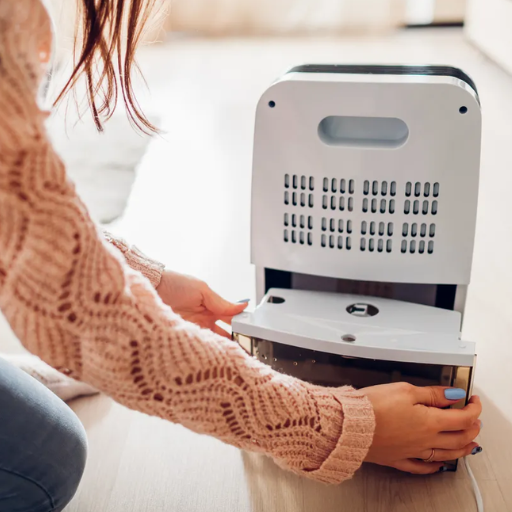 Common Issues and Troubleshooting Your Dehumidifier