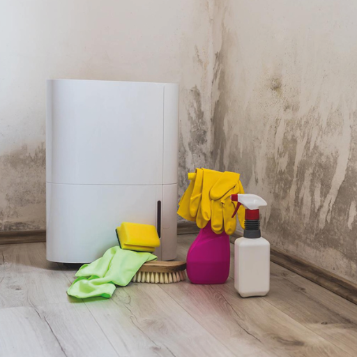 How Does a Dehumidifier Work to Prevent Mold