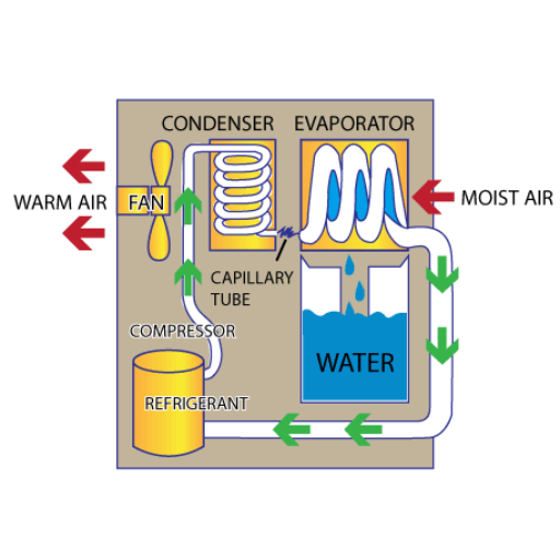 How does a dehumidifier work to control humidity