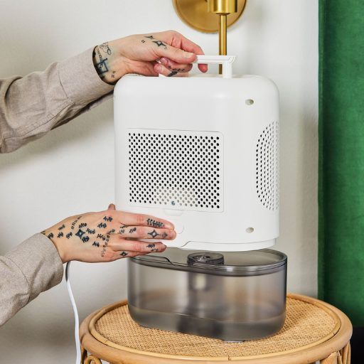 How to Choose the Best Quiet Dehumidifiers for Your Needs