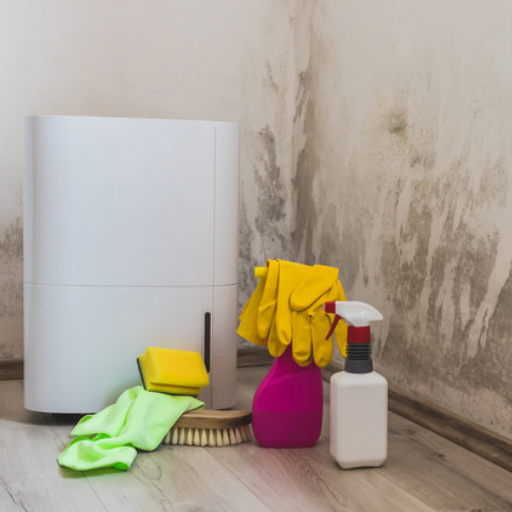 What Additional Steps Can Be Used to Get Rid of Odor in the Basement