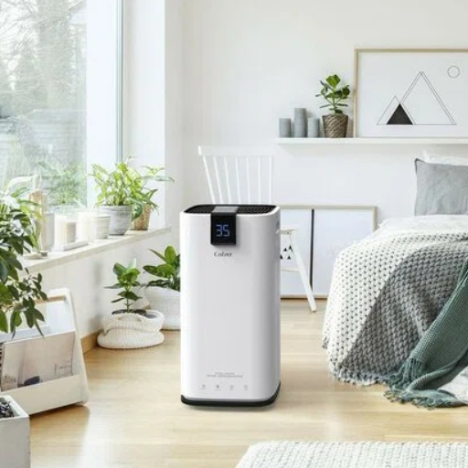 What Are the Benefits of Using a Dehumidifier in Your Home
