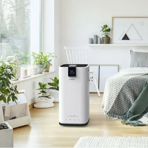 What are the benefits of using a dehumidifier