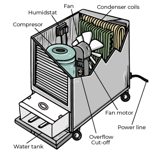 What are the main components of a dehumidifier and their functions