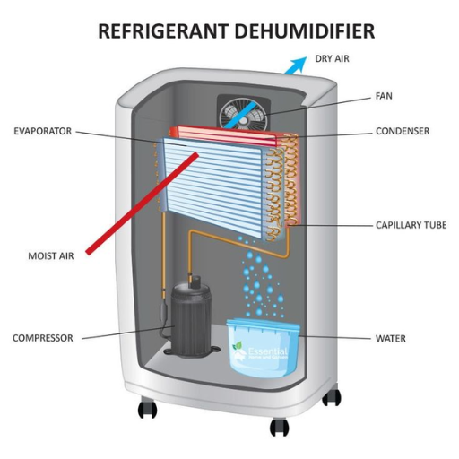 What is a Dehumidifier and How Does it Work?