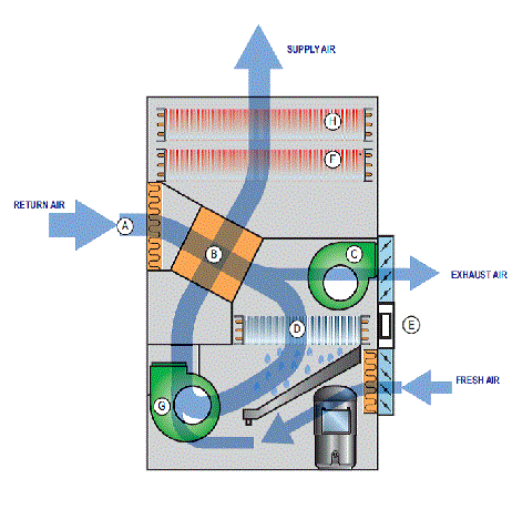 What is the basic principle behind a dehumidifier's operation