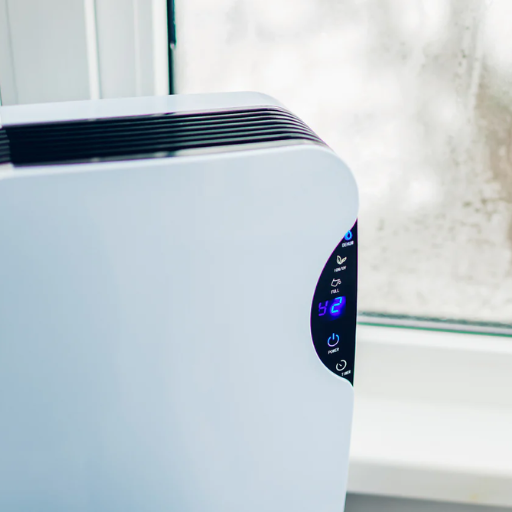 What is the main purpose of a dehumidifier