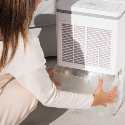 Why Does My Dehumidifier Smell Bad