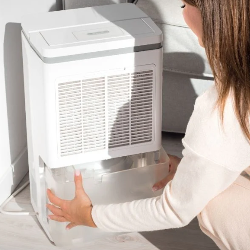 Why Use a Dehumidifier
