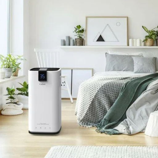 Why You Need a Dehumidifier in Your Home