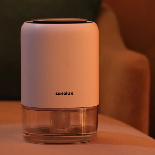 Why Do You Need a Dehumidifier in Your Home