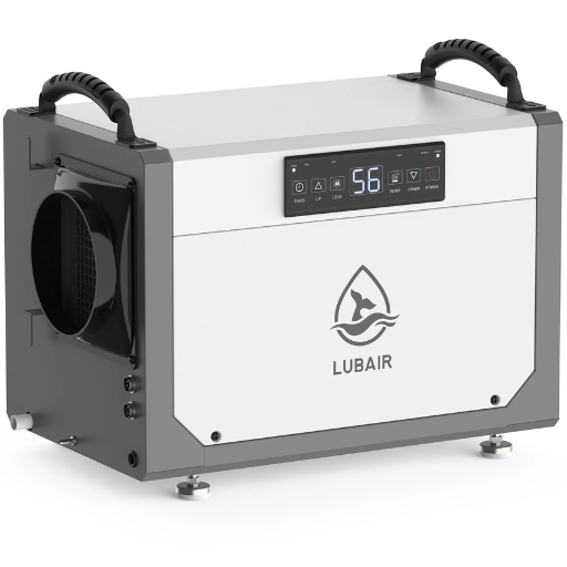 What are the best crawl space dehumidifier brands