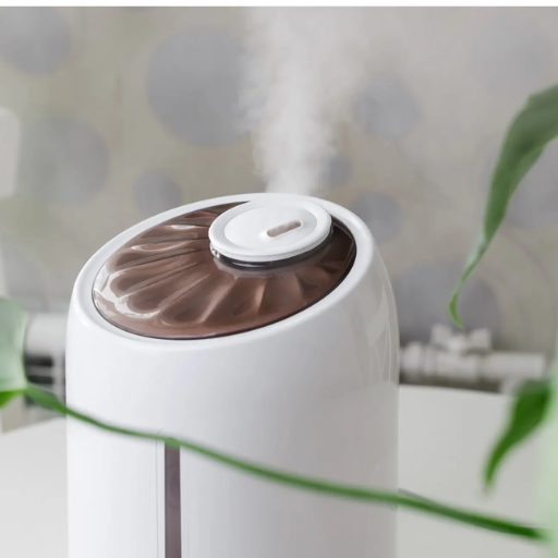 How does a dehumidifier combat mold and mildew growth