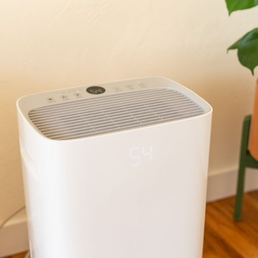 Can a dehumidifier alleviate allergy and asthma symptoms