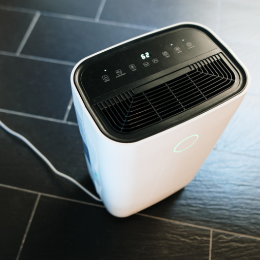 What are the benefits of using a dehumidifier in specific areas of your home