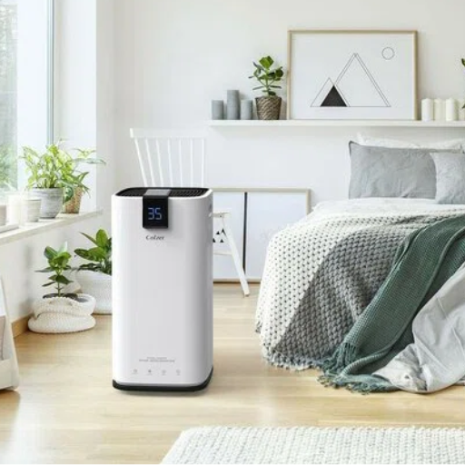 When should you consider using a dehumidifier in your home