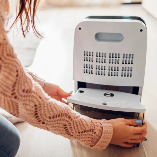 How can I maintain my dehumidifier to prevent future problems
