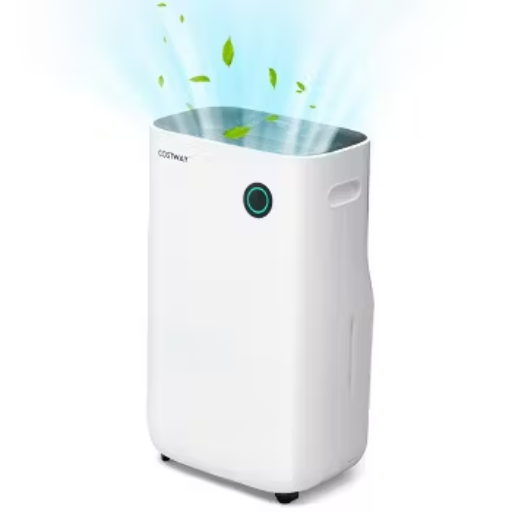 What are the best dehumidifiers for different room sizes