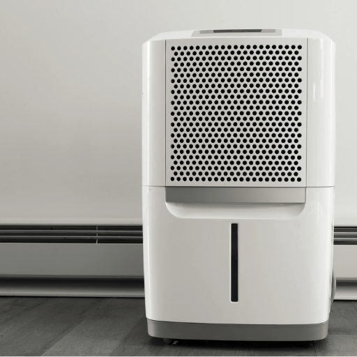 What Are the Signs You Need a Dehumidifier