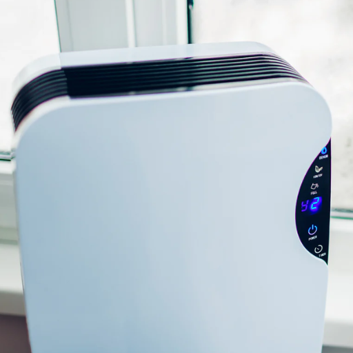 How to Determine the Right Humidity Level in Your Home
