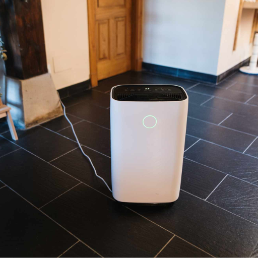 Do You Need a Whole-House or Portable Dehumidifier