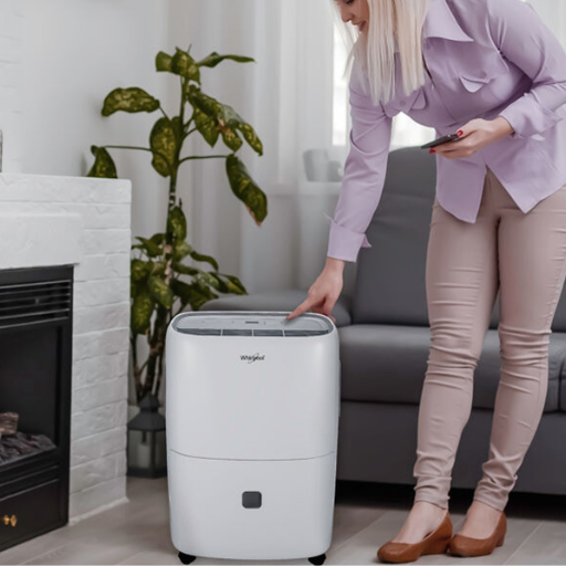 What Factors Affect the Dehumidifier Size I Need